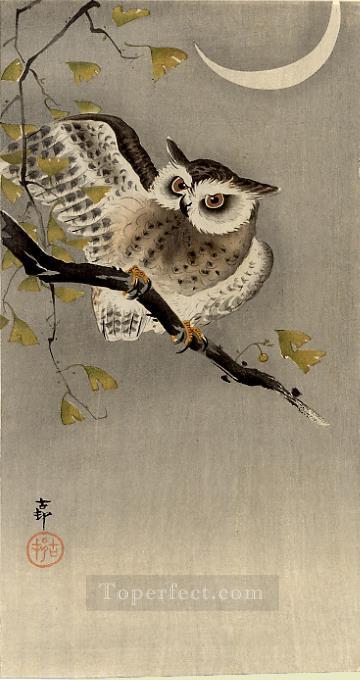 owl on ginkgo branch scops owl under crescent moon Ohara Koson Japanese Oil Paintings
